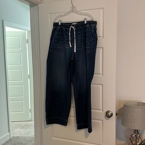 Lane Bryant Plus size ladies drawstring jeans